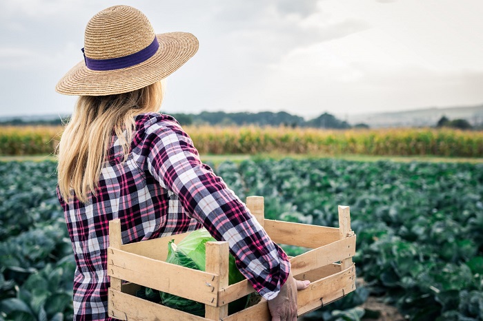 Projeto Mulheres no Campo abre 100 vagas de qualificação profissional em Brazlândia